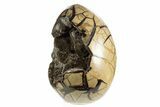 Huge, Septarian Dragon Egg Geode ( lbs!) - Black Crystals #329479-2